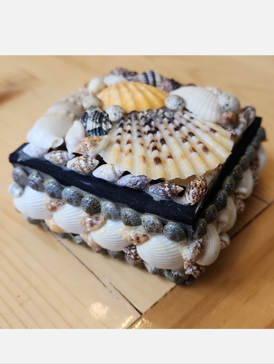 Sea Shell trinket box Other - Sea Shell Box Trinkets Jewelry